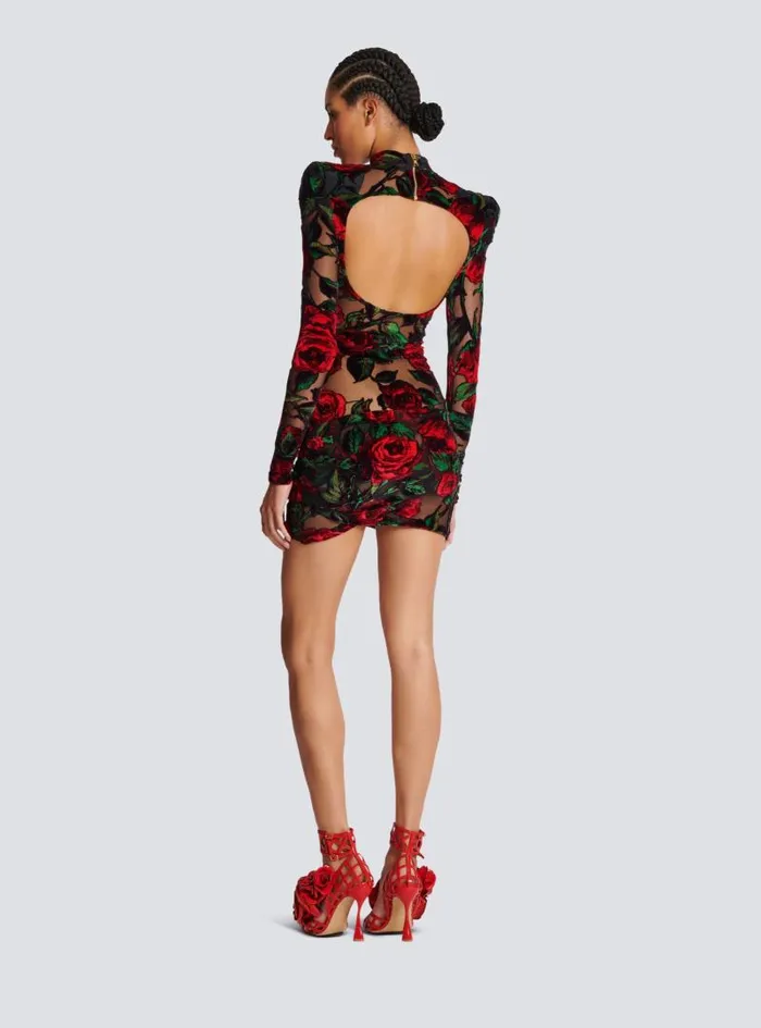 Balmain Dresses Women Burnout Velvet Dress With Rose Print Red