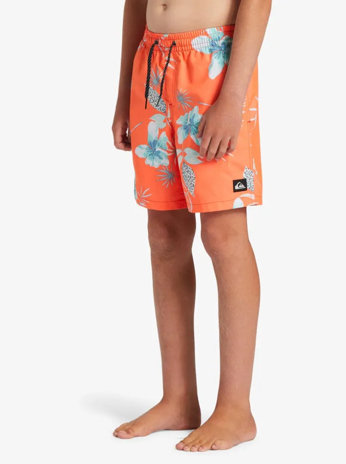 Boardshorts Men Quiksilver Boy039s 816 Everyday Mix Vl 15nb Elastic Waist Shorts Fiery Coral Boardshorts Men Quiksilver Boy039s 816 Everyday Mix Vl 15nb Elastic Waist Shorts Fiery Coral
