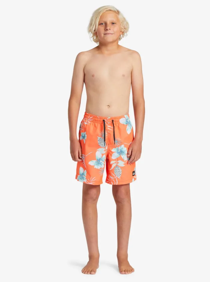 Boardshorts Men Quiksilver Boy039s 816 Everyday Mix Vl 15nb Elastic Waist Shorts Fiery Coral Boardshorts Men Quiksilver Boy039s 816 Everyday Mix Vl 15nb Elastic Waist Shorts Fiery Coral