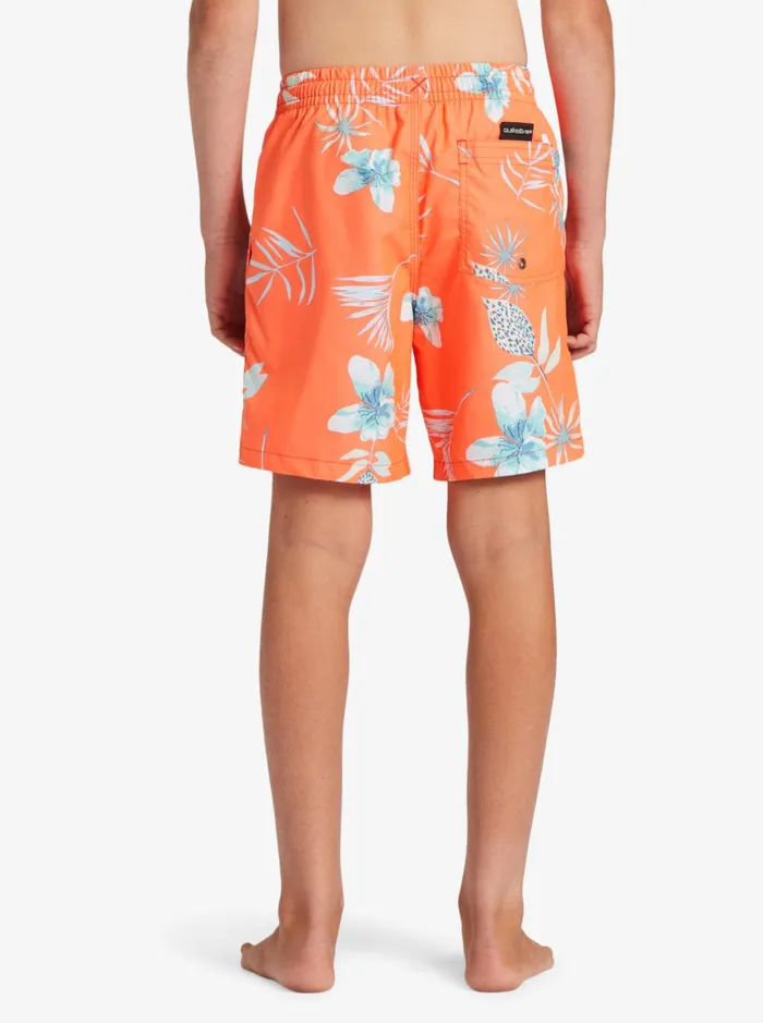 Boardshorts Men Quiksilver Boy039s 816 Everyday Mix Vl 15nb Elastic Waist Shorts Fiery Coral Boardshorts Men Quiksilver Boy039s 816 Everyday Mix Vl 15nb Elastic Waist Shorts Fiery Coral