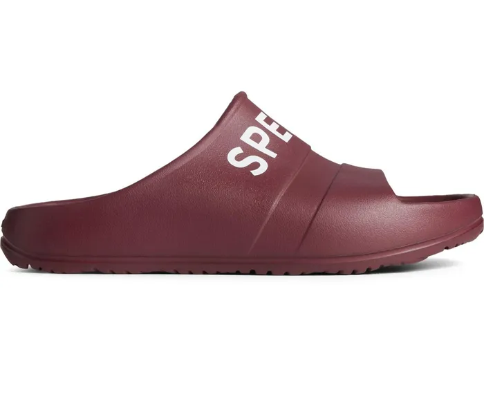 Men Float Slide Logo Sandal Burgundy Sperry Sandals