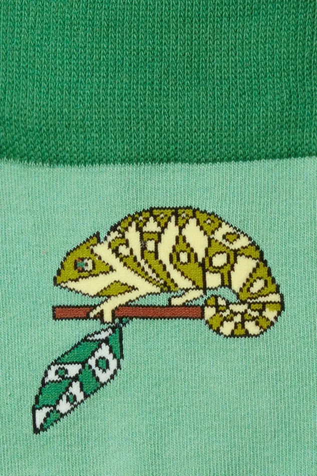 Men Socks and Underwear Bonobos Soft Everyday Socks Green One In A Chameleon