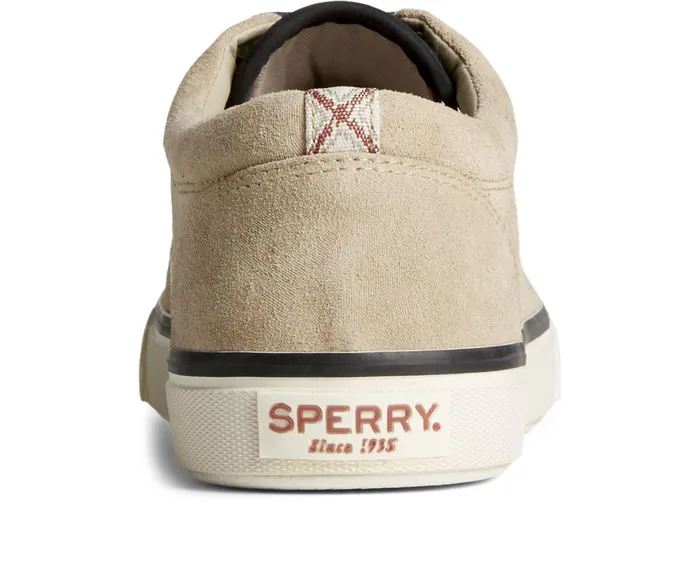Men Striper PLUSHWAVE CVO Sneaker Khaki Sperry Sneakers Men Striper PLUSHWAVE CVO Sneaker Khaki Sperry Sneakers