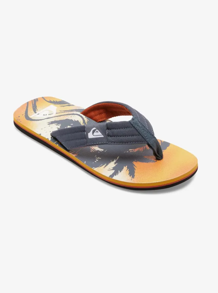 Sandals Men Quiksilver Molokai Layback Sandals Grey 1