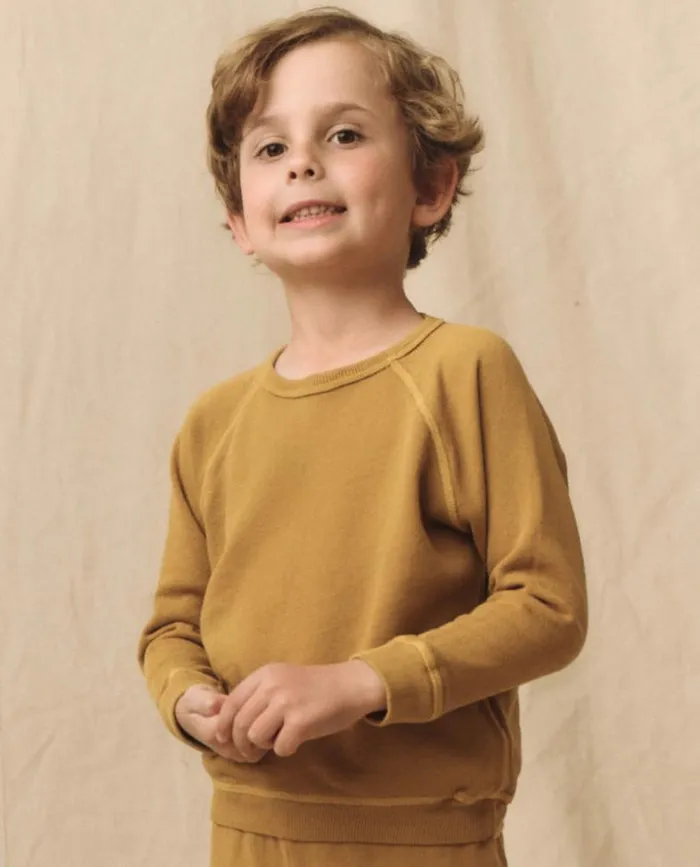 Sweatshirts Little039s The Great The Little College Sweatshirt Safari