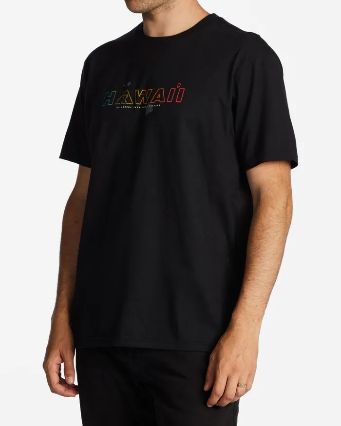 Billabong Andy Irons Hawaii Short Sleeve TShirt Black Men TShirts Billabong Andy Irons Hawaii Short Sleeve TShirt Black Men TShirts