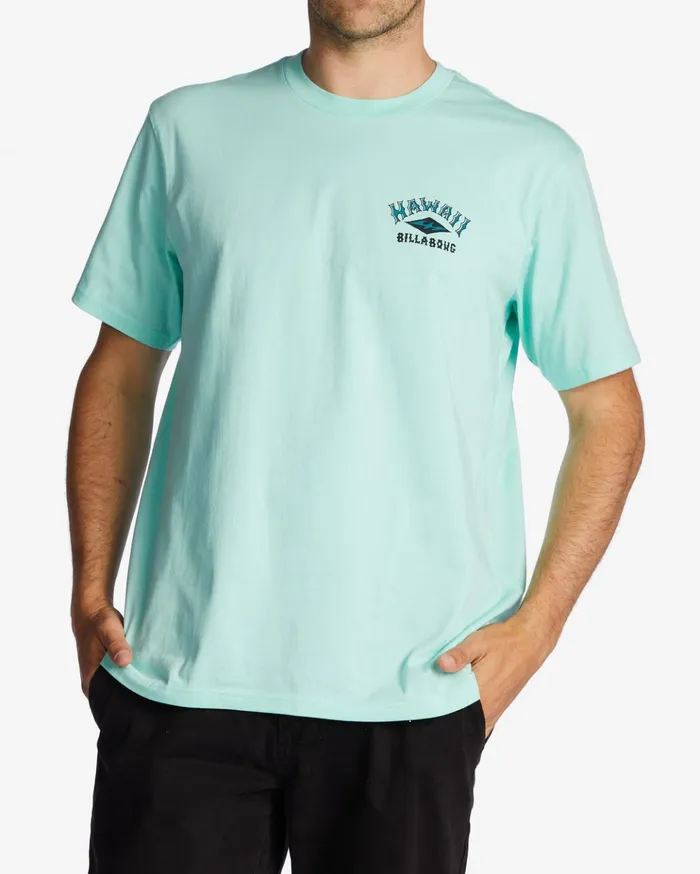 Billabong Hawaii Arch TShirt Cool Mint Men TShirts