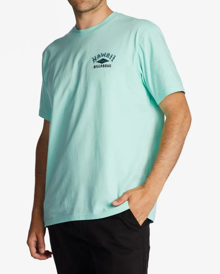 Billabong Hawaii Arch TShirt Cool Mint Men TShirts Billabong Hawaii Arch TShirt Cool Mint Men TShirts