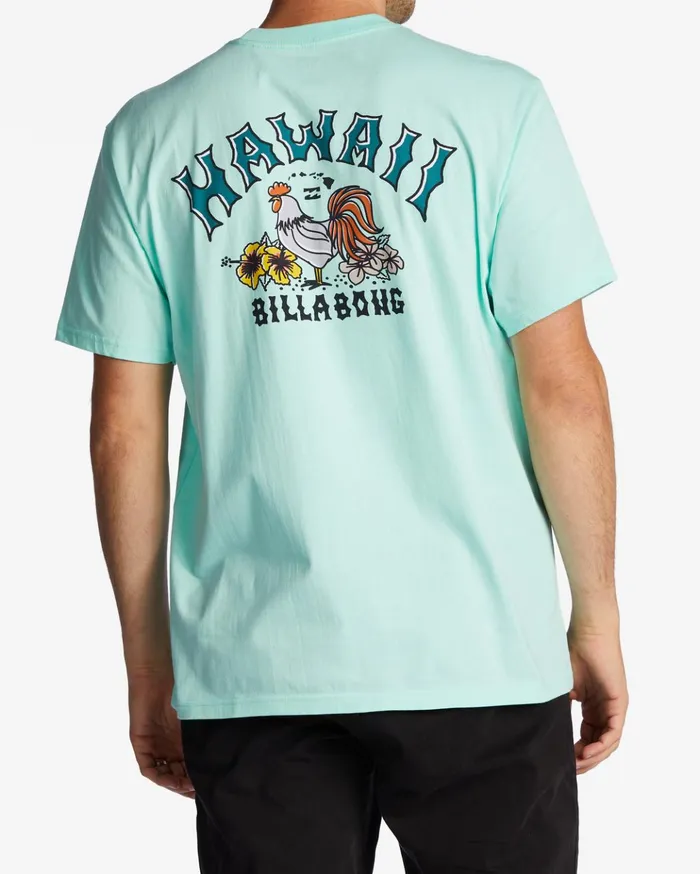 Billabong Hawaii Arch TShirt Cool Mint Men TShirts Billabong Hawaii Arch TShirt Cool Mint Men TShirts