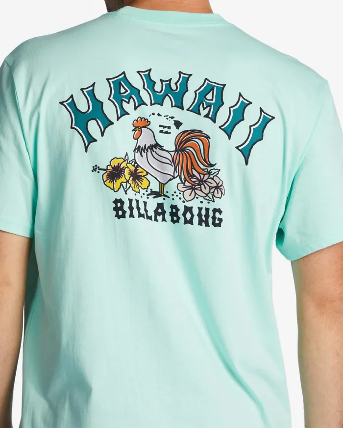 Billabong Hawaii Arch TShirt Cool Mint Men TShirts Billabong Hawaii Arch TShirt Cool Mint Men TShirts