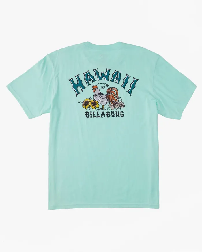 Billabong Hawaii Arch TShirt Cool Mint Men TShirts Billabong Hawaii Arch TShirt Cool Mint Men TShirts