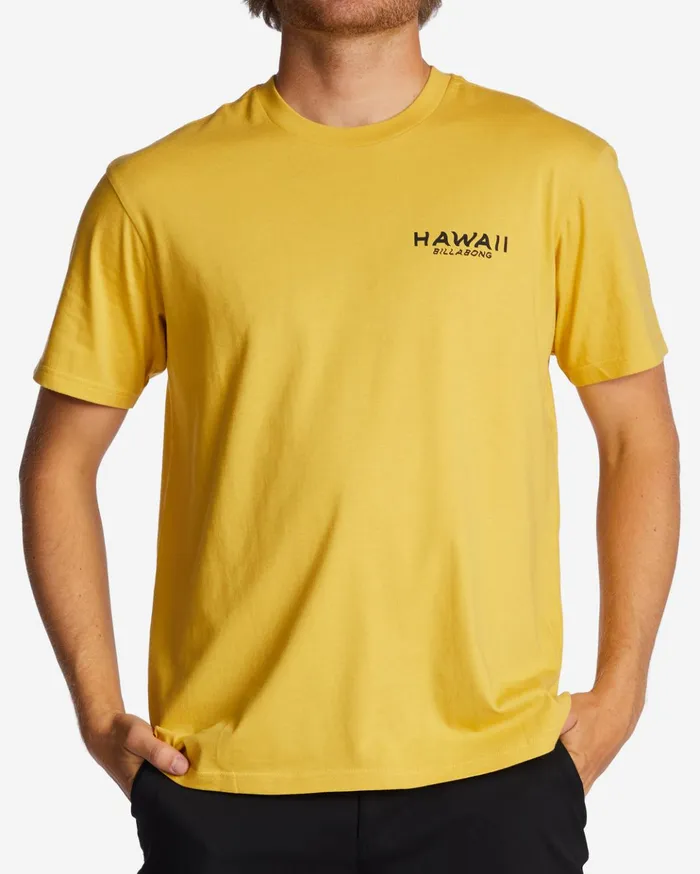 Billabong Hawaii Lookout TShirt Sunny Men TShirts