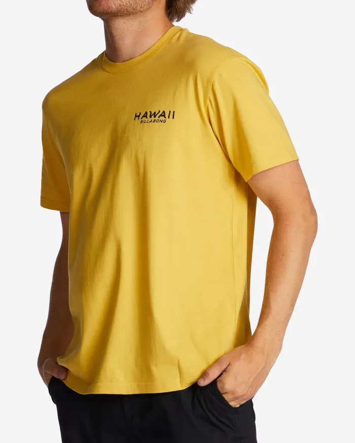 Billabong Hawaii Lookout TShirt Sunny Men TShirts Billabong Hawaii Lookout TShirt Sunny Men TShirts