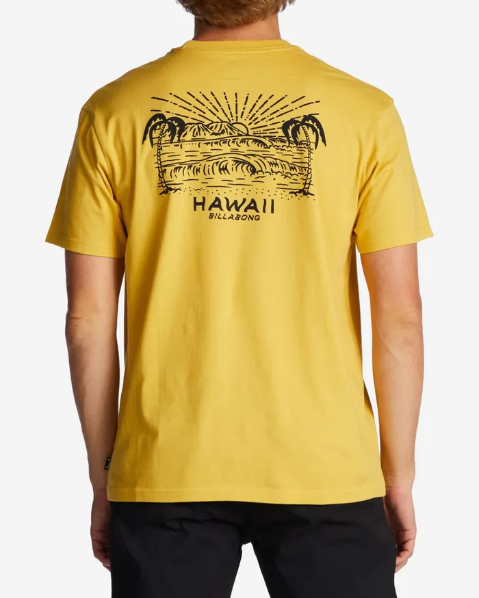 Billabong Hawaii Lookout TShirt Sunny Men TShirts Billabong Hawaii Lookout TShirt Sunny Men TShirts