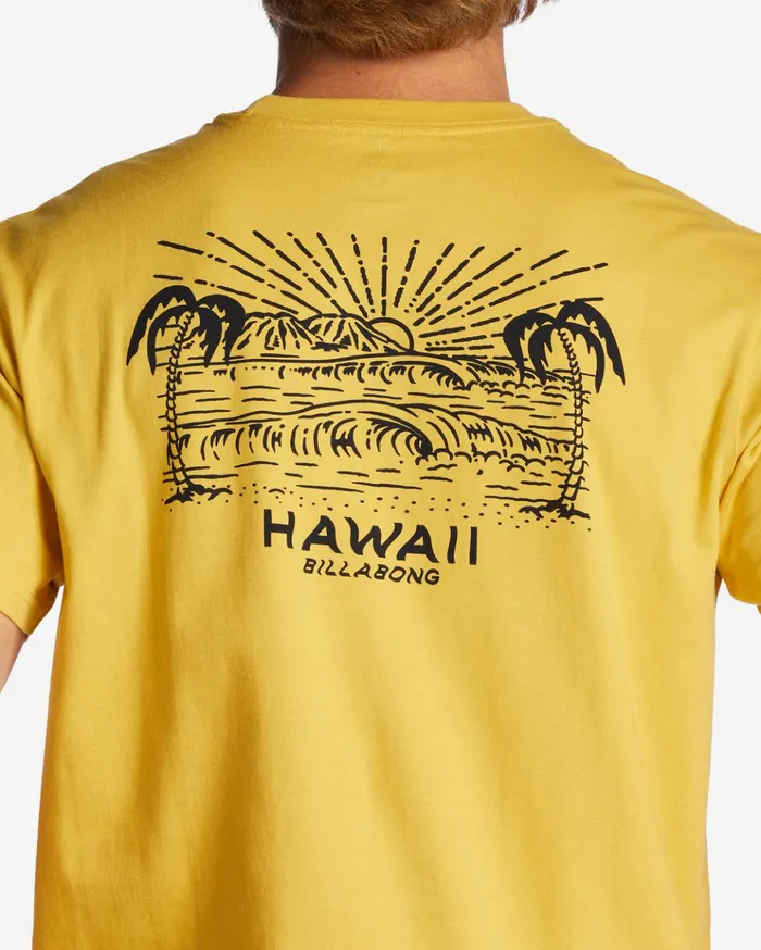 Billabong Hawaii Lookout TShirt Sunny Men TShirts Billabong Hawaii Lookout TShirt Sunny Men TShirts