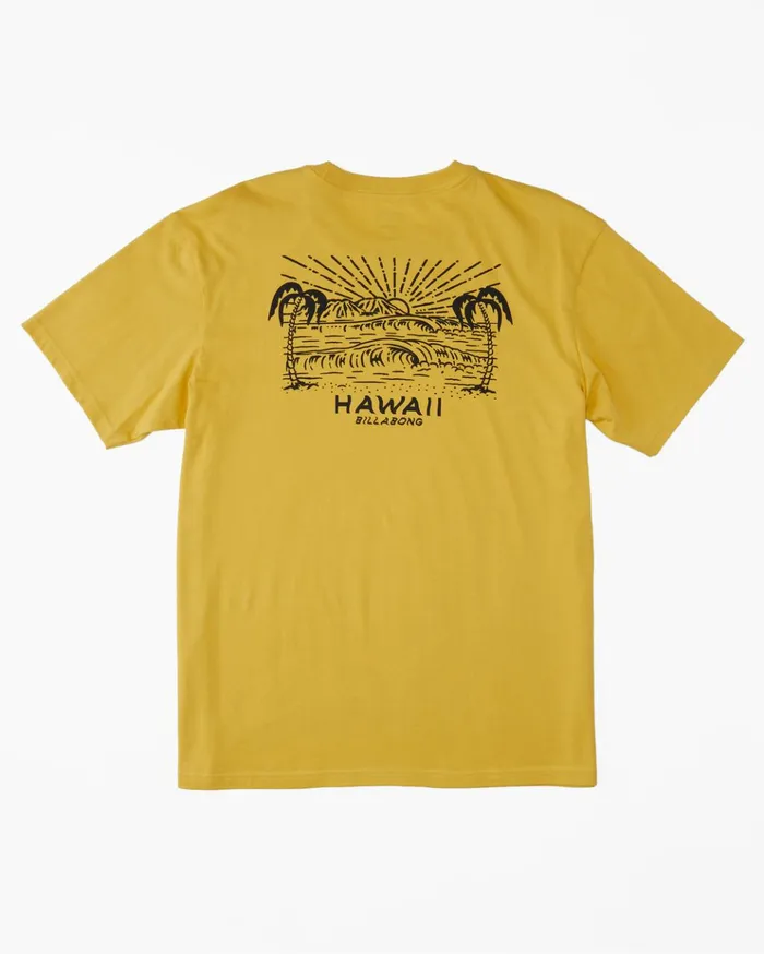 Billabong Hawaii Lookout TShirt Sunny Men TShirts Billabong Hawaii Lookout TShirt Sunny Men TShirts