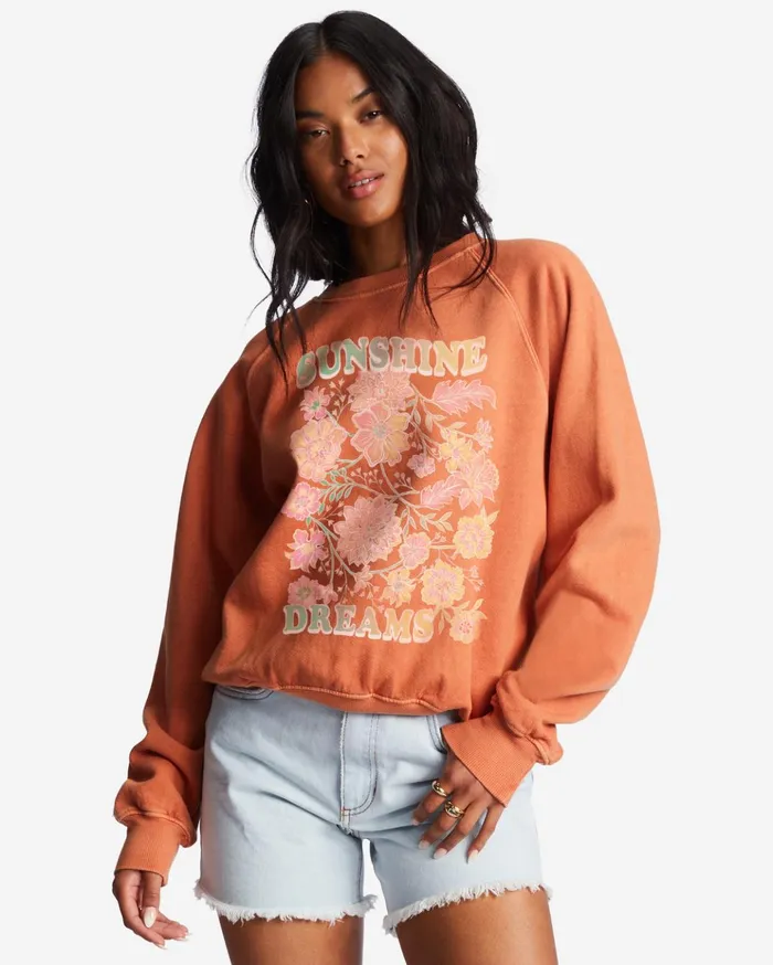 Billabong Here We Go Graphic Crewneck Sweatshirt Brick Women Hoodies and Fleece Billabong Here We Go Graphic Crewneck Sweatshirt Brick Women Hoodies and Fleece