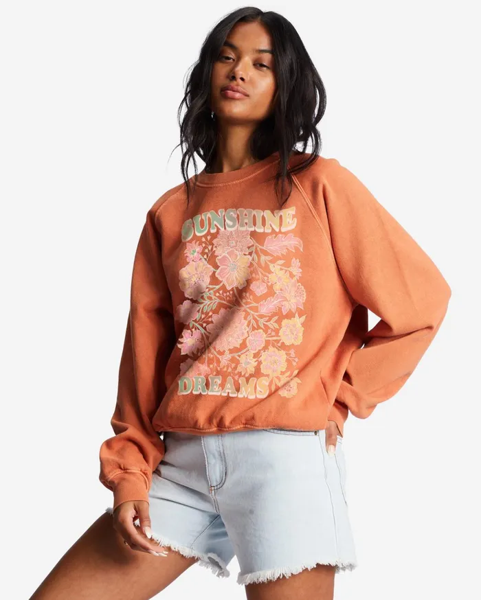 Billabong Here We Go Graphic Crewneck Sweatshirt Brick Women Hoodies and Fleece Billabong Here We Go Graphic Crewneck Sweatshirt Brick Women Hoodies and Fleece