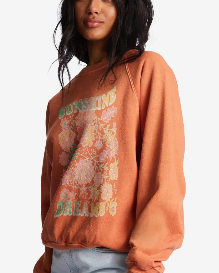 Billabong Here We Go Graphic Crewneck Sweatshirt Brick Women Hoodies and Fleece Billabong Here We Go Graphic Crewneck Sweatshirt Brick Women Hoodies and Fleece