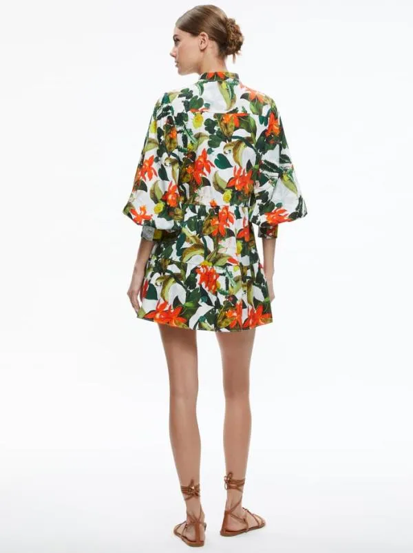 Dresses Women Alice Olivia CAILIN BUTTON FRONT BLOUSON SLEEVE MINI DRESS Tropical Sunrise Off White