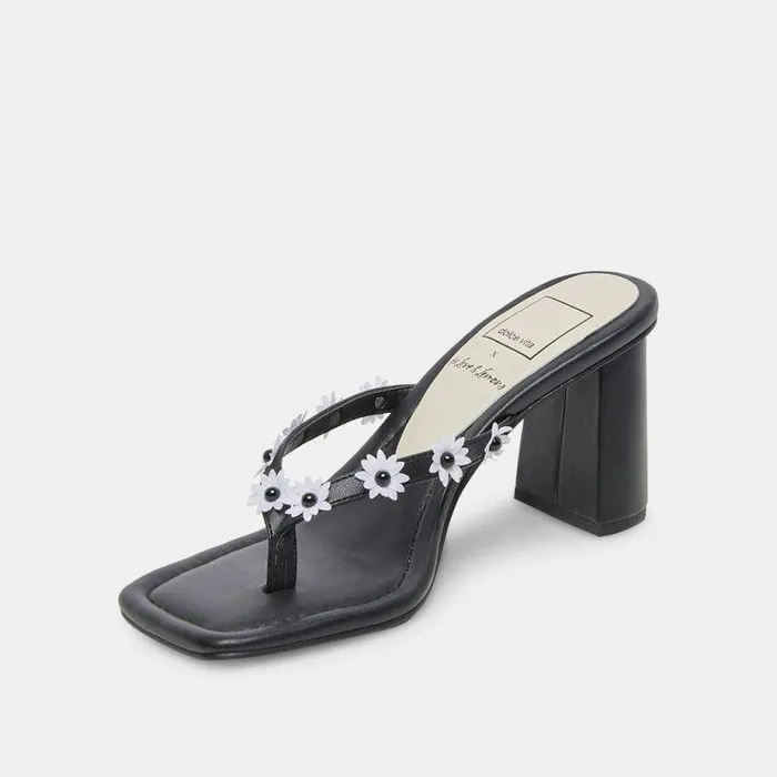 Heels Shop Dolce Vita Daphne Heels Black Stella Black Stella