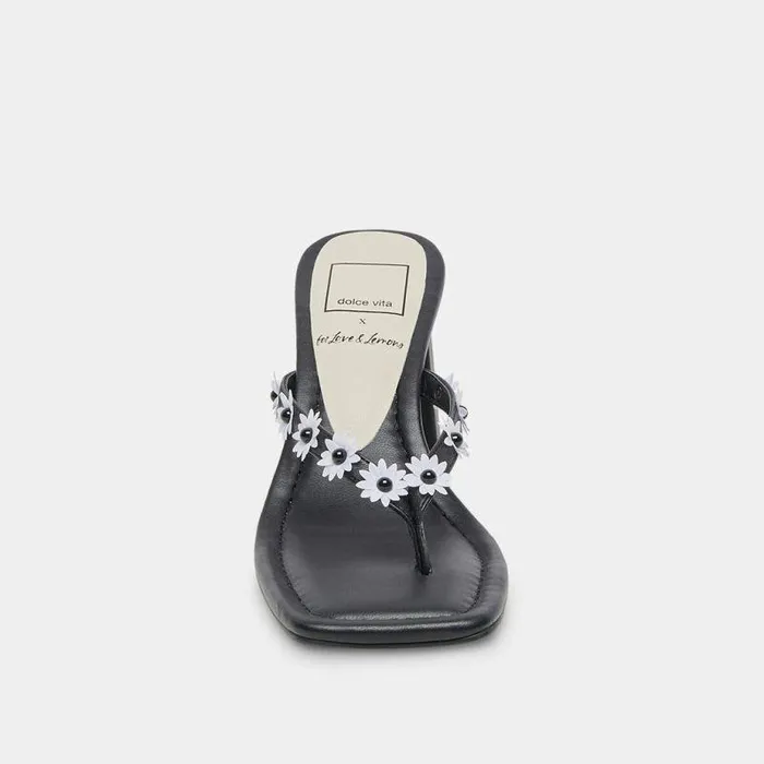 Heels Shop Dolce Vita Daphne Heels Black Stella Black Stella