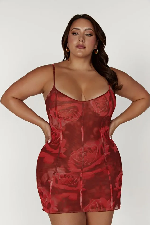 Meshki Mini Dresses Women Esther Mesh Panelled Mini Dress 8211 Oversized Rose Print Oversized Rose Print