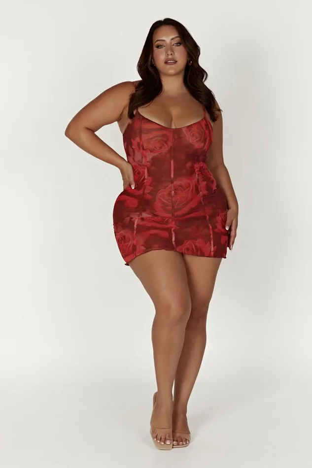 Meshki Mini Dresses Women Esther Mesh Panelled Mini Dress 8211 Oversized Rose Print Oversized Rose Print
