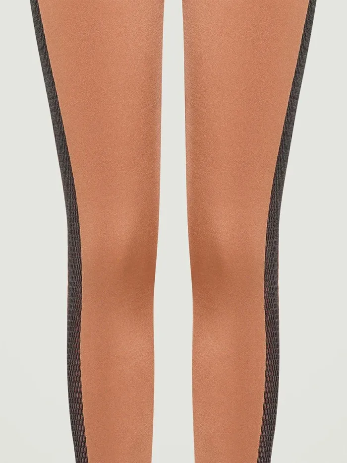 Net Overlay Leggings Caramelblack Women Wolford Leggings