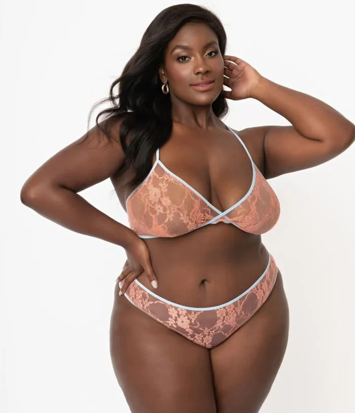 Plus Size Light Blue and Peach Sheer Lace Cheeky Underwear Accessories Unique Vintage Lingerie and Shapewear
