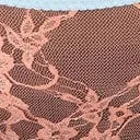 Plus Size Light Blue and Peach Sheer Lace Cheeky Underwear Accessories Unique Vintage Lingerie and Shapewear