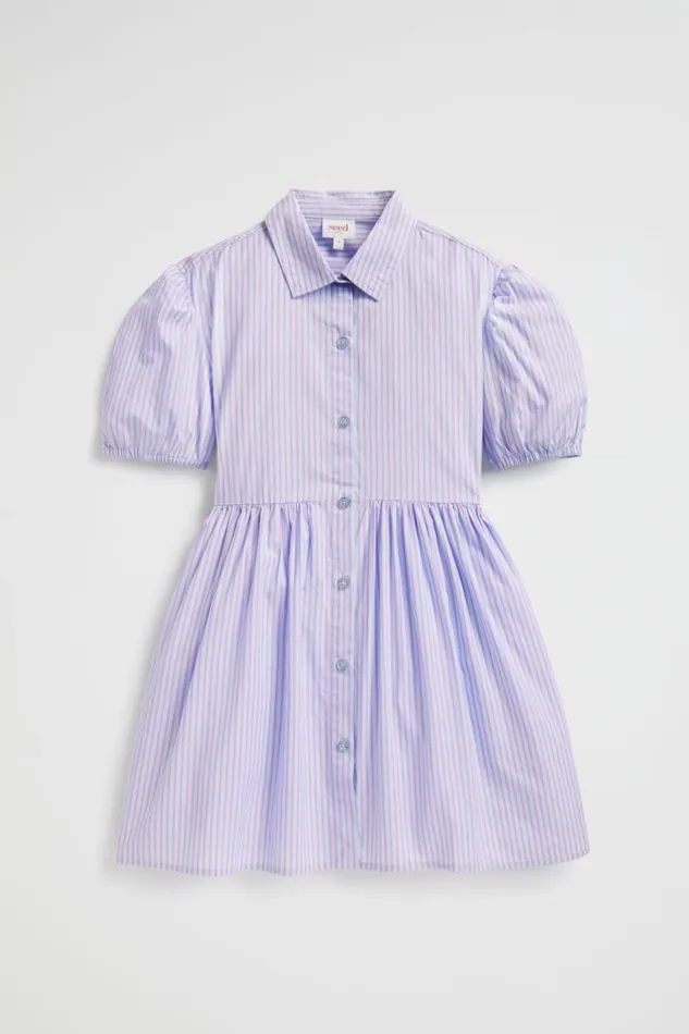 Seed Heritage Dresses Poplin Stripe Dress Baby Blue 8211 Girl