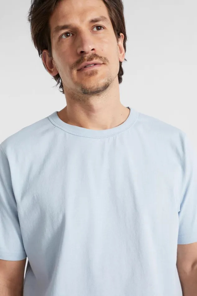 Seed Heritage TShirts and Sweaters Classic Tee Light Blue 8211 Man