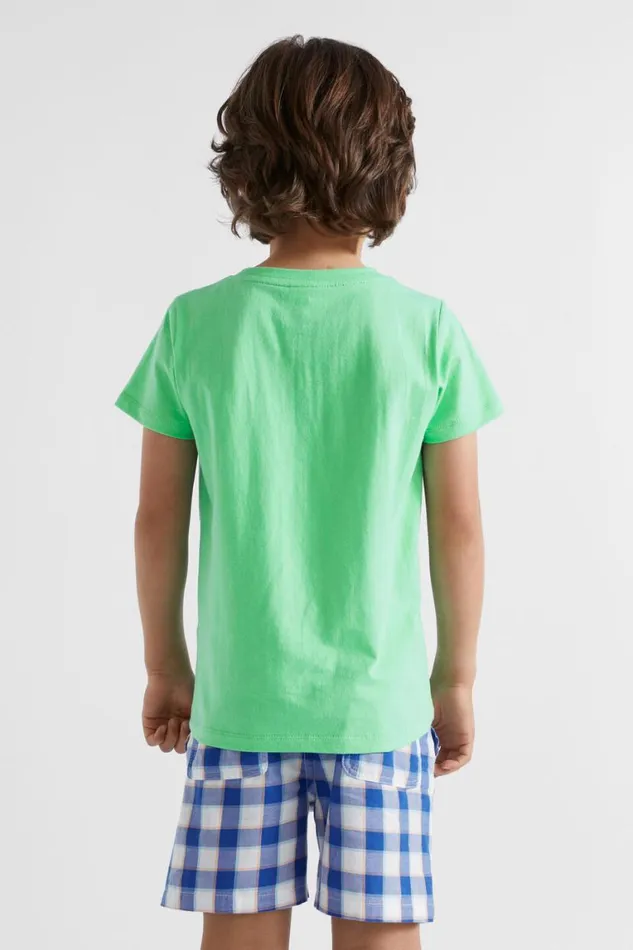 Seed Heritage TShirts and Tops Core Logo Tee Pine Lime Multi 8211 Boy