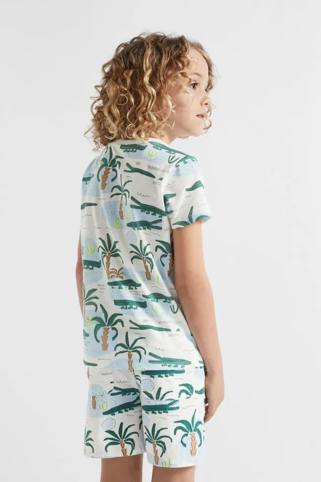 Seed Heritage TShirts and Tops Croc Yardage Tee Canvas 8211 Boy