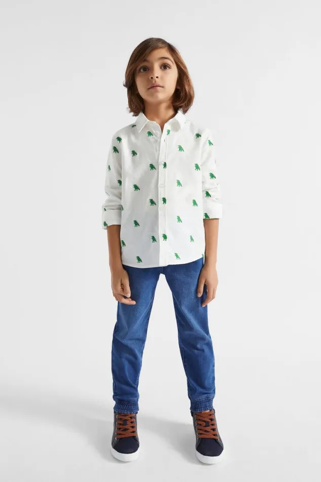 Seed Heritage TShirts and Tops Dino Shirt Canvas 8211 Boy