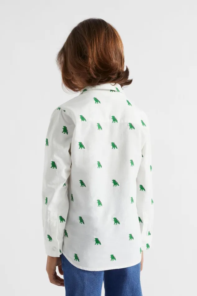 Seed Heritage TShirts and Tops Dino Shirt Canvas 8211 Boy