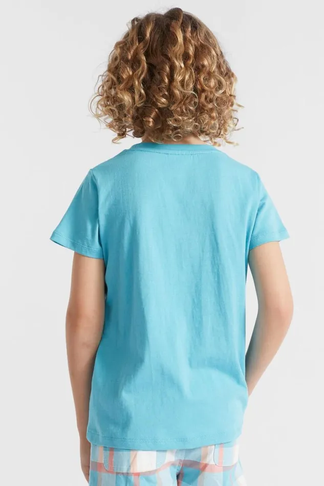 Seed Heritage TShirts and Tops Skateboard Tee Maui Blue 8211 Boy