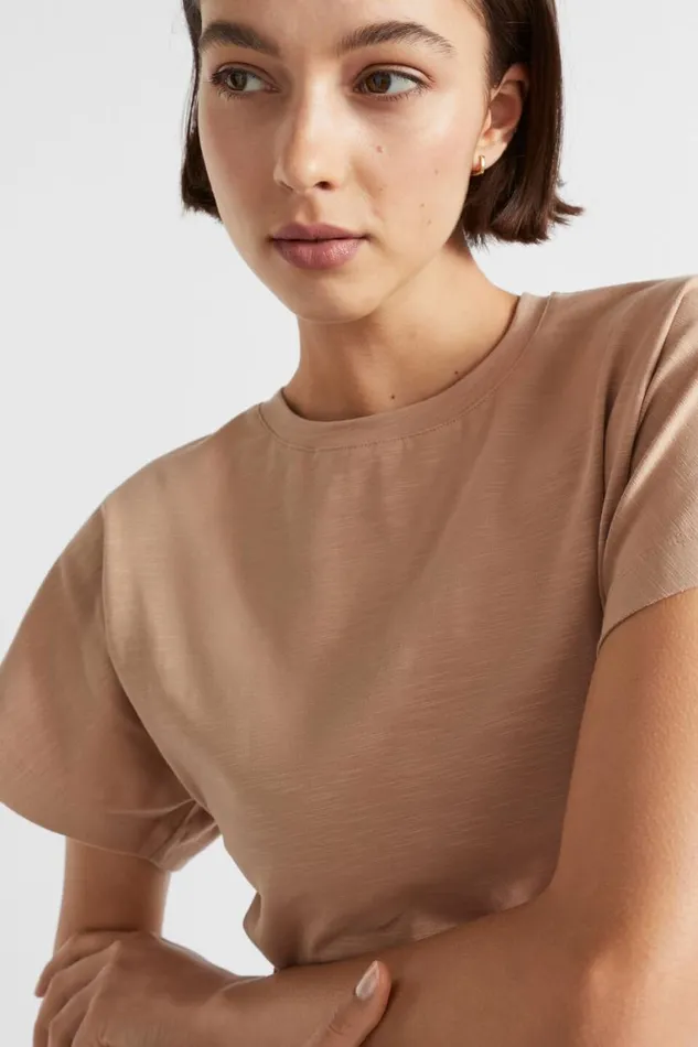 Seed Heritage TShirts and Tops Waisted Jersey Tee Barley 8211 Woman