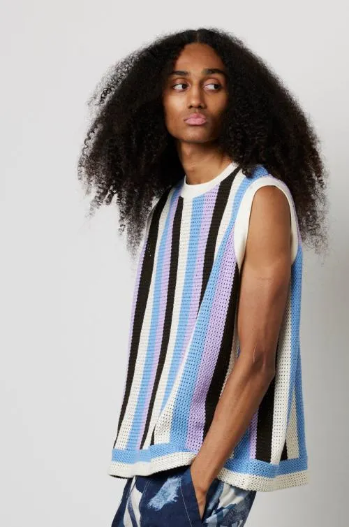 Women Knitwear Damson Madder Stripe Knit Vest