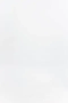 Women Knitwear MISBHV Knitted Seamless Mini Dress Black